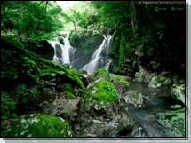 tranquil_waterfall_215.gif